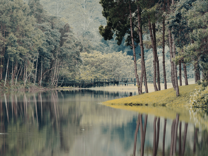 anxiety and goal setting, reducing performance pressure, letting go of expectations, overcoming what if thinking, stress from constant striving, sustainable well-being habits